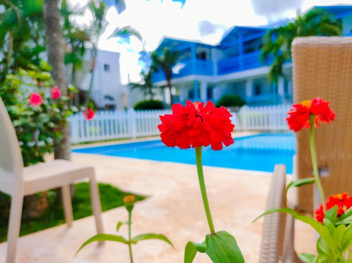 B&B Aparthotel La Isleta Las Galeras Luaran gambar